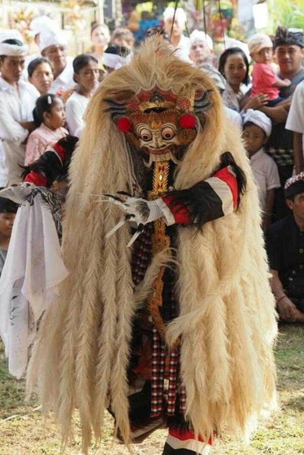 Halumba Eco Villa Bali Tejakula Luaran gambar