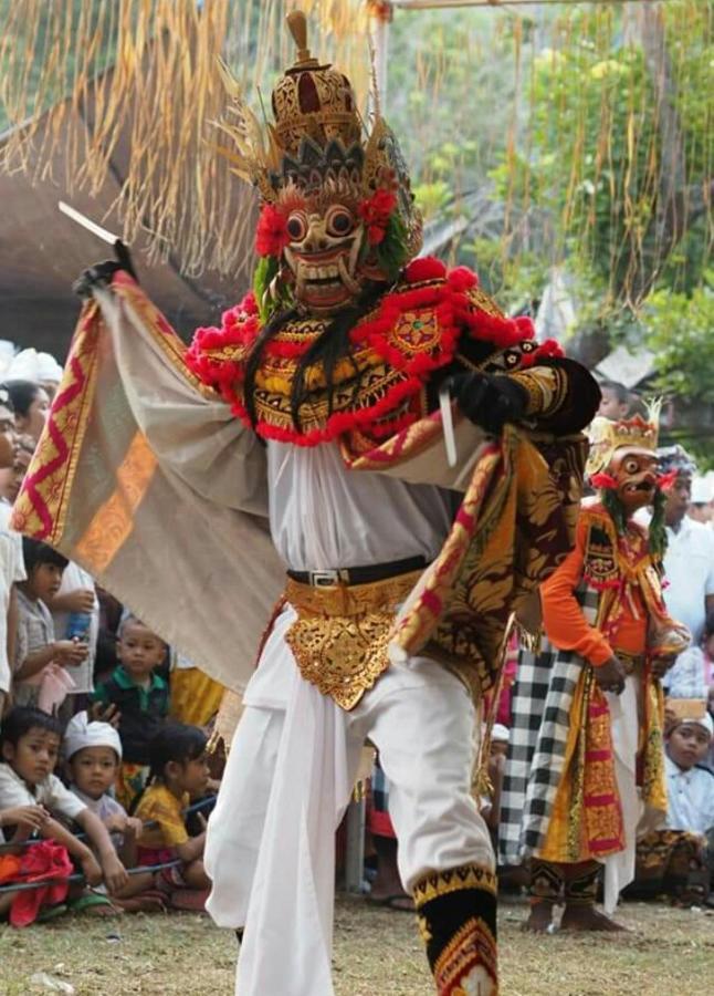 Halumba Eco Villa Bali Tejakula Luaran gambar